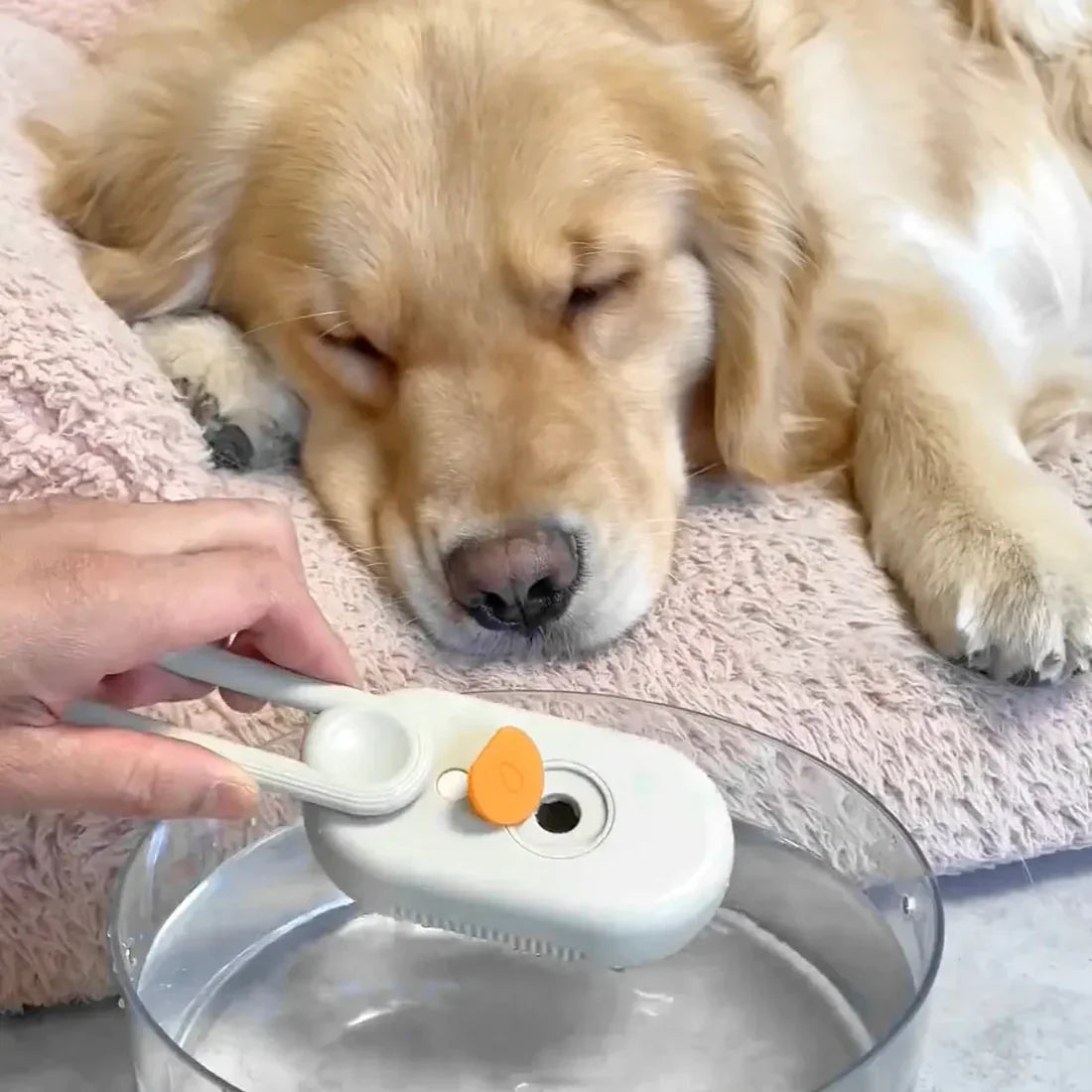 🔥 TODAY ONLY 50% OFF：Stop Flying Fur Instantly - 3-in-1 Steamy Pet Brush