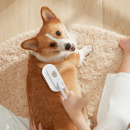 🔥 TODAY ONLY 50% OFF：Stop Flying Fur Instantly - 3-in-1 Steamy Pet Brush